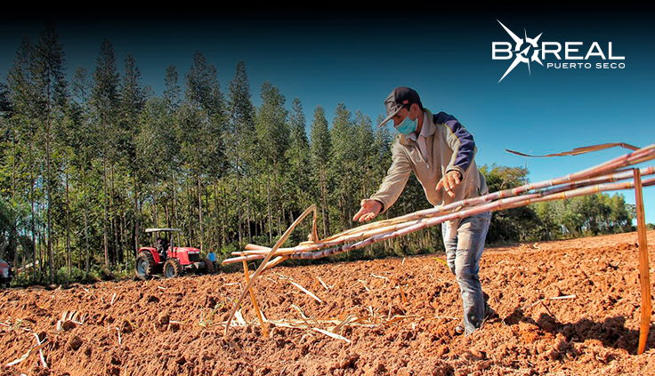 Sequía: anunciaron medidas de contingencia para asistir al sector productivo