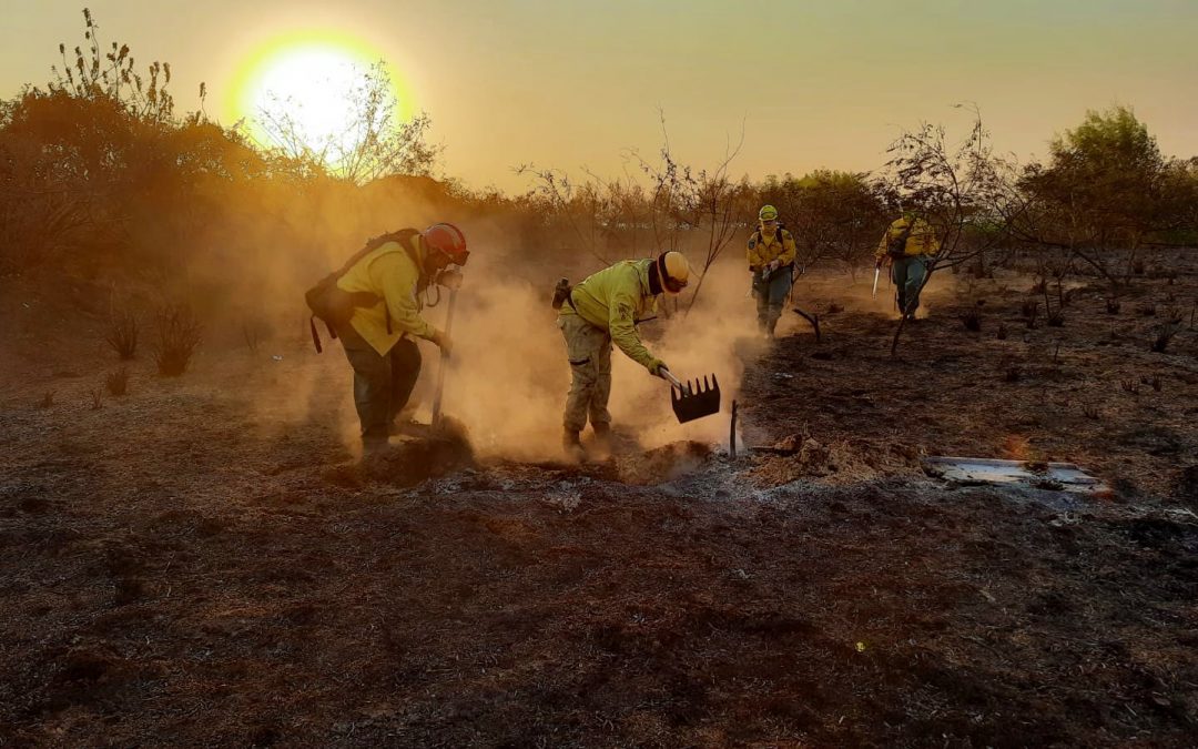 Infona aconseja cómo prevenir incendios ante focos de calor