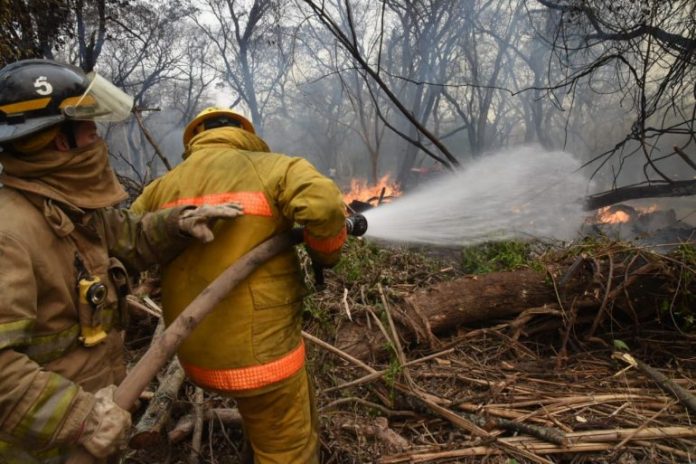 Focos de incendios: Ejecutivo insta a otorgar permiso a los trabajadores bomberos