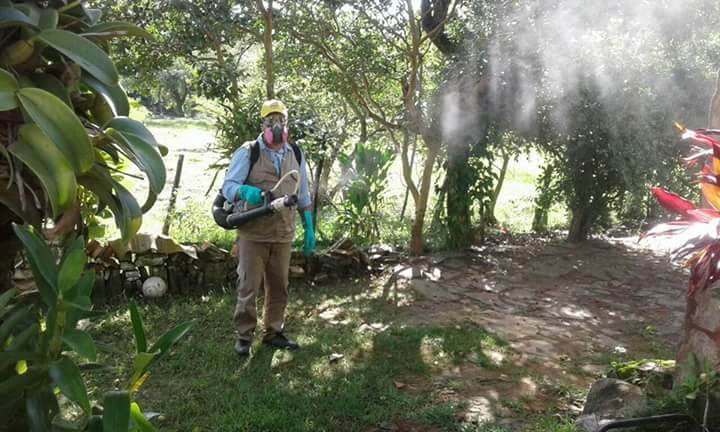 Salud: instan a verificar y eliminar criaderos de mosquitos