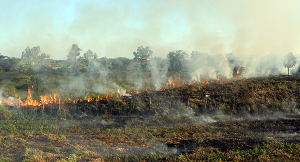Ministro de la SEN asegura que ley de manejo de fuego subsanará vacíos que hoy existen