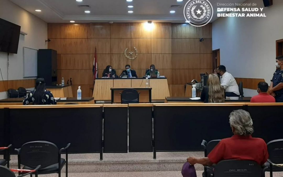 Justicia para “cococha”: un año de prisión para hombre por zoofilia