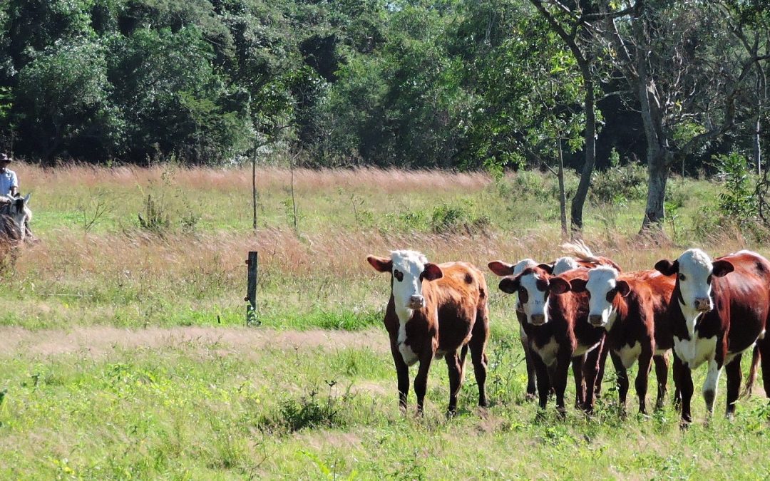 ARP alega estar en crisis, tras reajuste de fletes por parte de transportistas