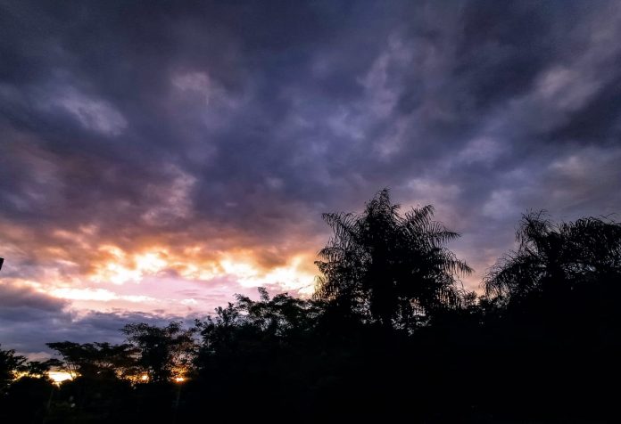 Otoño a flor de piel: anuncian día fresco con precipitaciones y vientos del sur