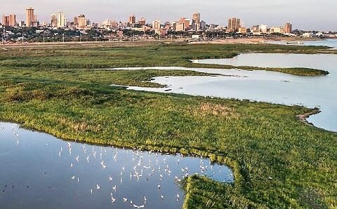 Plan de saneamiento en la bahía de Asunción y arroyo Mburicaó sigue avanzando