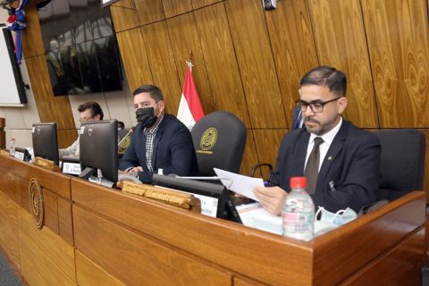 Subsidio a combustibles: no tratarán ley en Diputados por falta de quórum