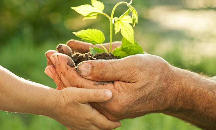 Sector productivo recibe propuesta de ganadería sostenible por parte del Gobierno
