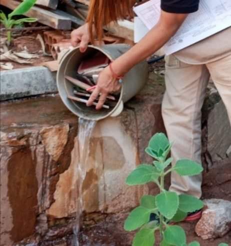 Tras aumento de casos de dengue y chikungunya, Salud insiste en eliminar criaderos
