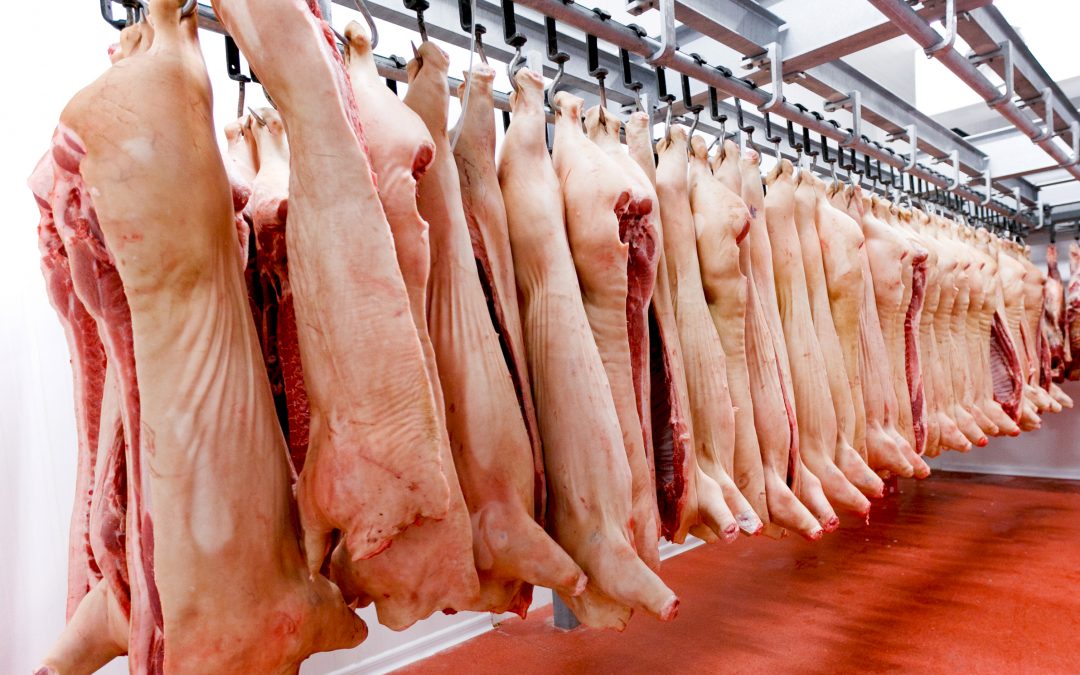 Exportación de carne de cerdo a Taiwán está cada vez más cerca, aseguran