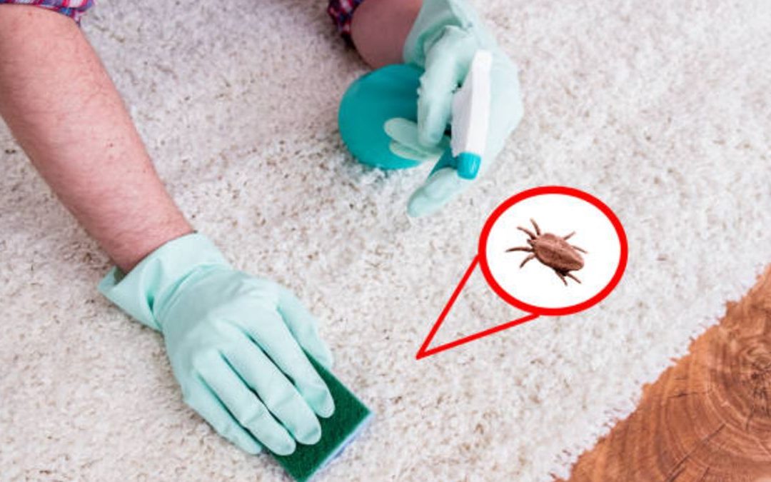 Consejos médicos para evitar crisis respiratoria