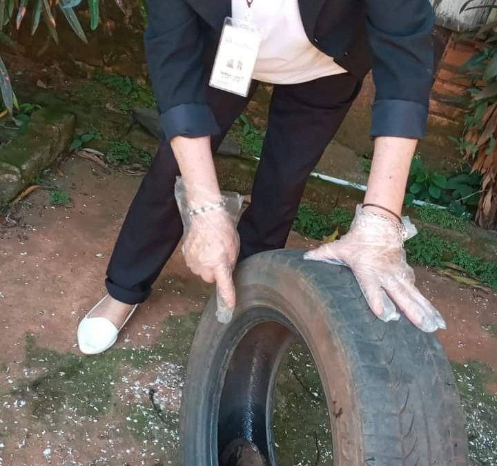 10 minutos al día son suficientes para eliminar criaderos de mosquitos