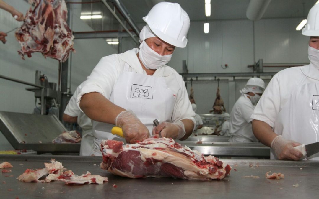 Siguen controles para la apertura del mercado de EE.UU. a la carne nacional