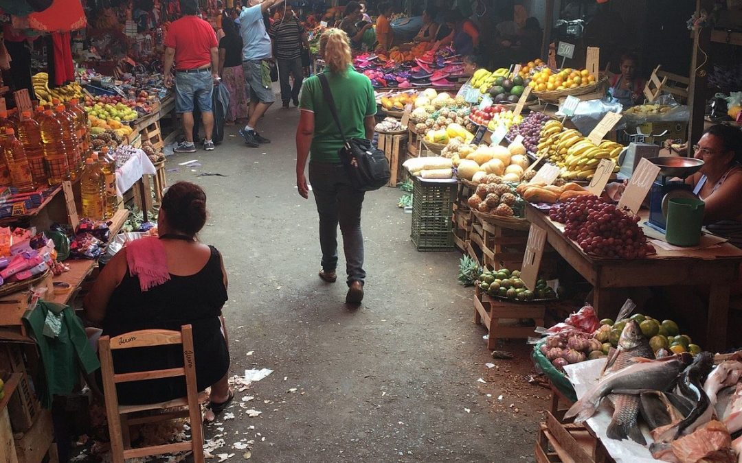 Duro golpe al bolsillo: El precio de la cebolla está por las nubes