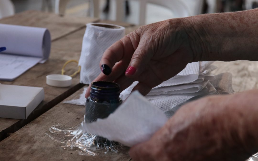 “Economista” con ventaja de 15 puntos en primer corte de boca de urna