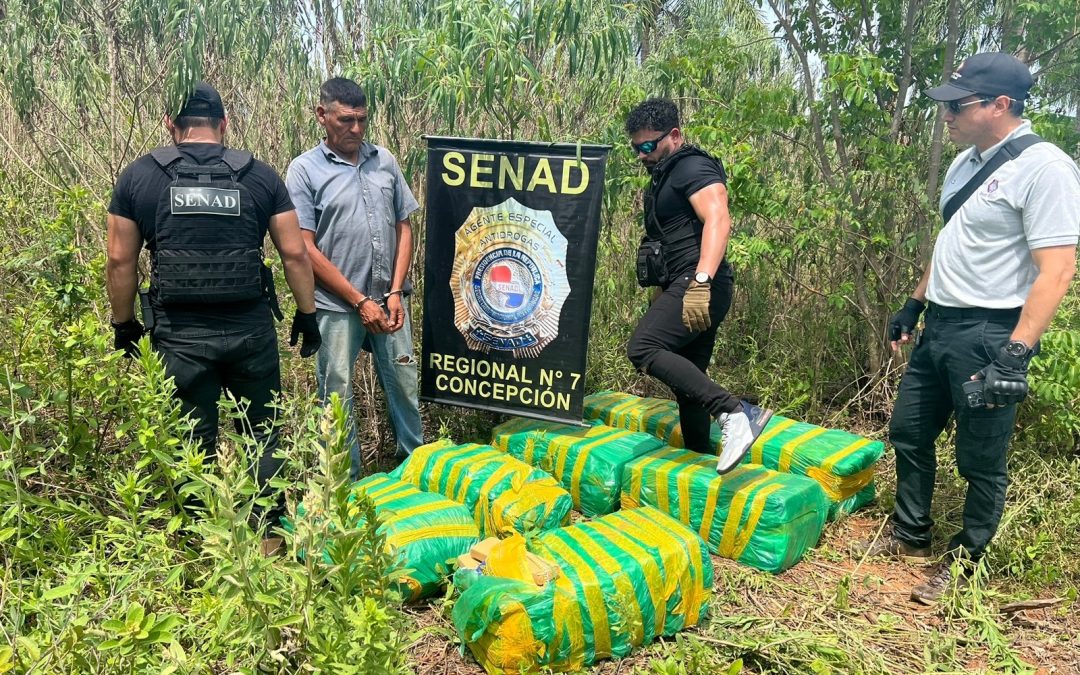 Hallan 238 kilos de marihuana en una fosa en Concepción