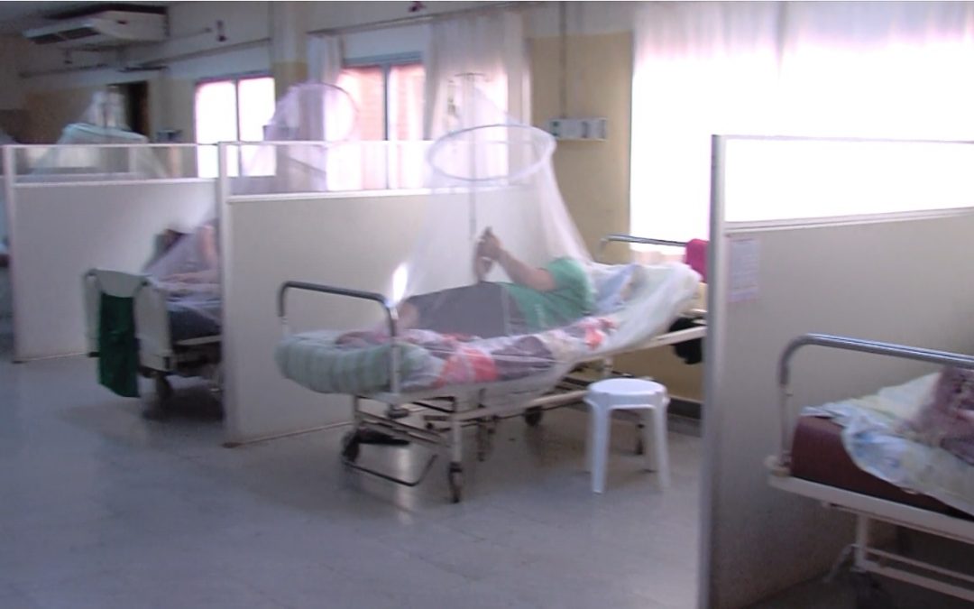 Aumento de chikungunya, dengue y circulación de COVID preocupan a Salud