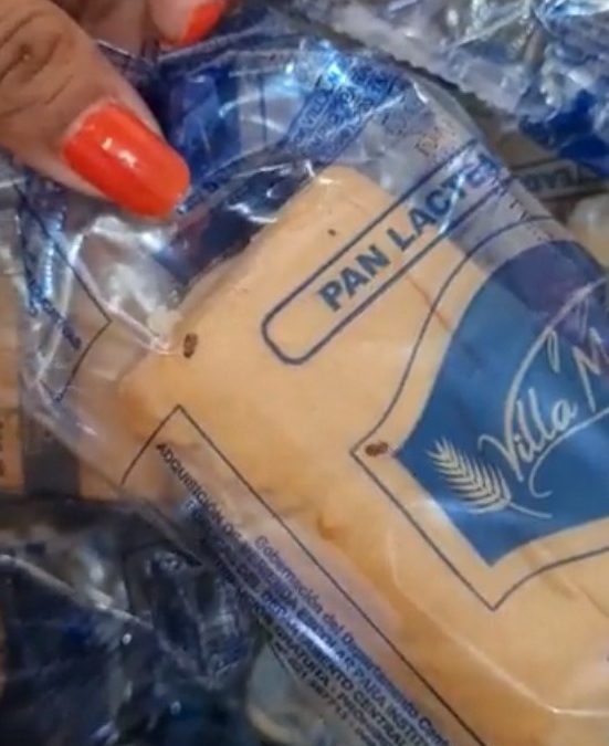 Escuela de Villa Elisa recibió panes para la merienda escolar con bichitos, denuncian