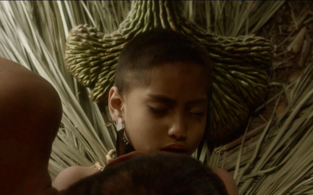 Platinos 2023: Nominan a Eami a Mejor Película Documental