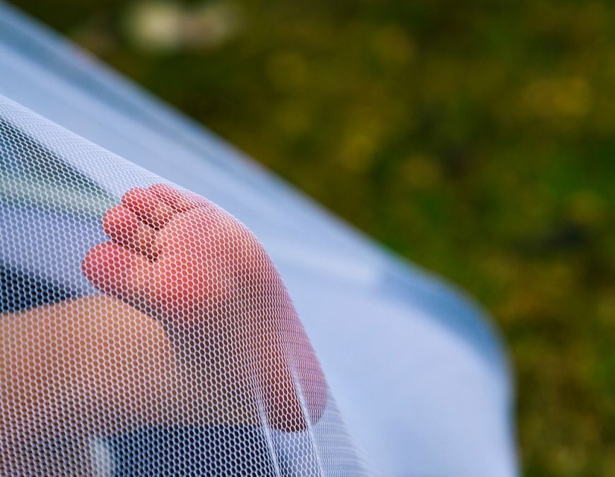 Chikungunya: Salud exhorta a proteger a los bebés y niños