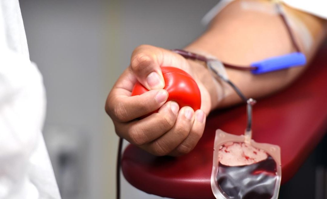 Que tu amistad salve vidas: instan a donar sangre por el Día del Amigo