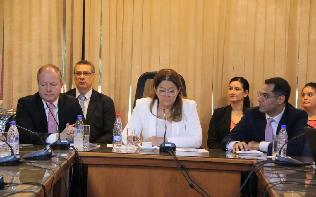 Valdovinos se reunió con diputados previo al estudio del proyecto de Superintendencia