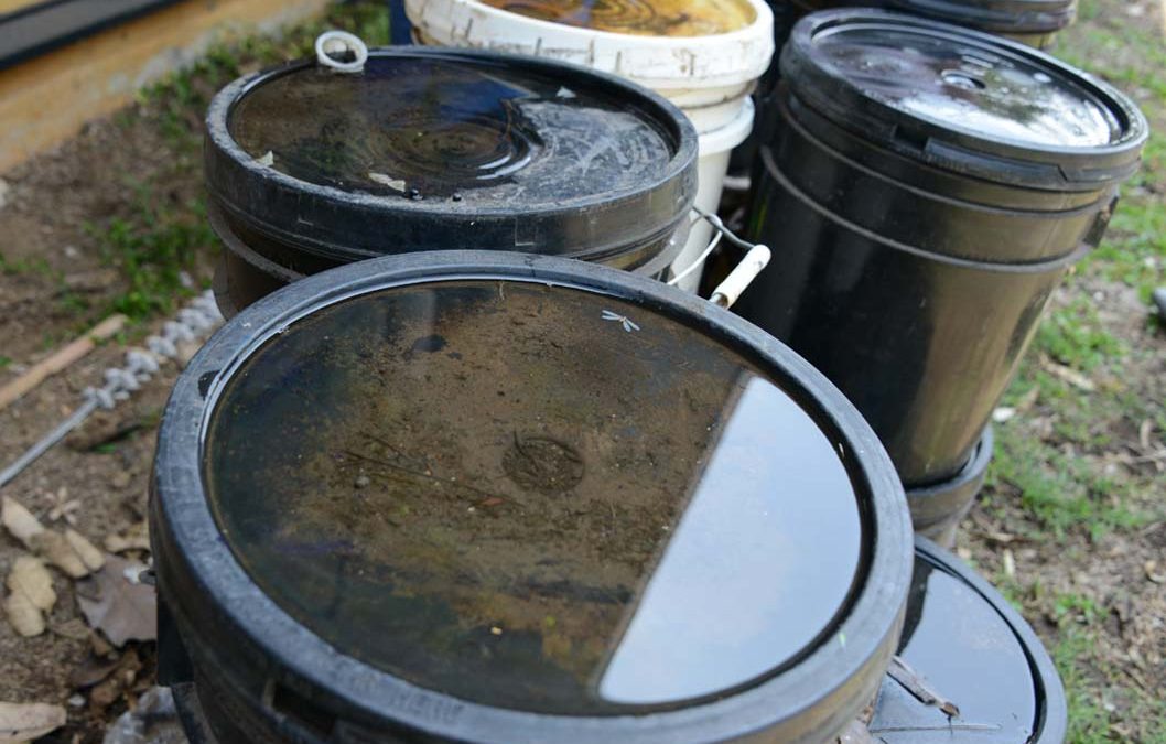 Salud pide eliminar criaderos de Aedes aegypti en los domicilios tras intensas lluvias en Navidad