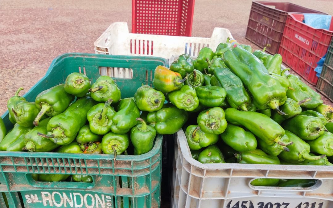 Alarmante suba del locote preocupa a varios sectores