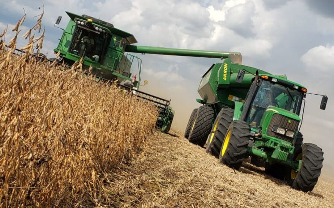 Prevén crecimiento de la economía paraguaya a través de la soja