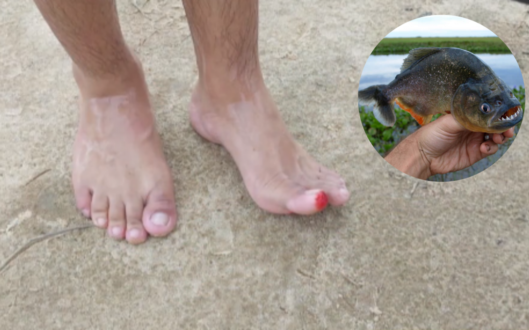 Municipio de Pilar dispuso suspensión temporal de playa, tras ataques de pirañas