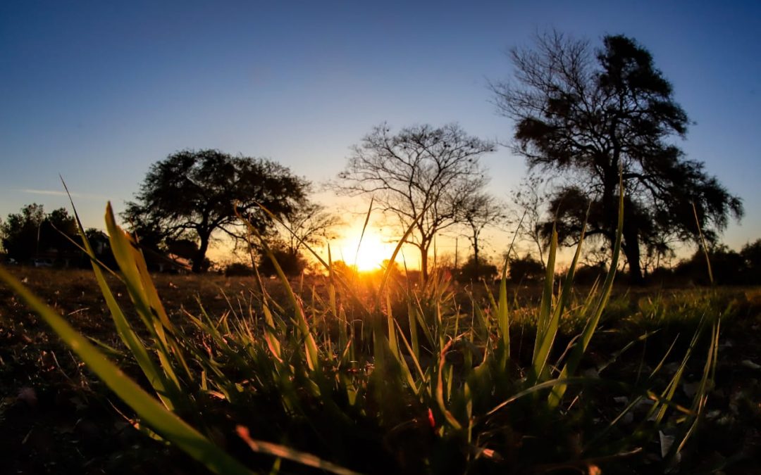 Ambiente caluroso persistirá este martes: temperatura rondaría los 40 grados