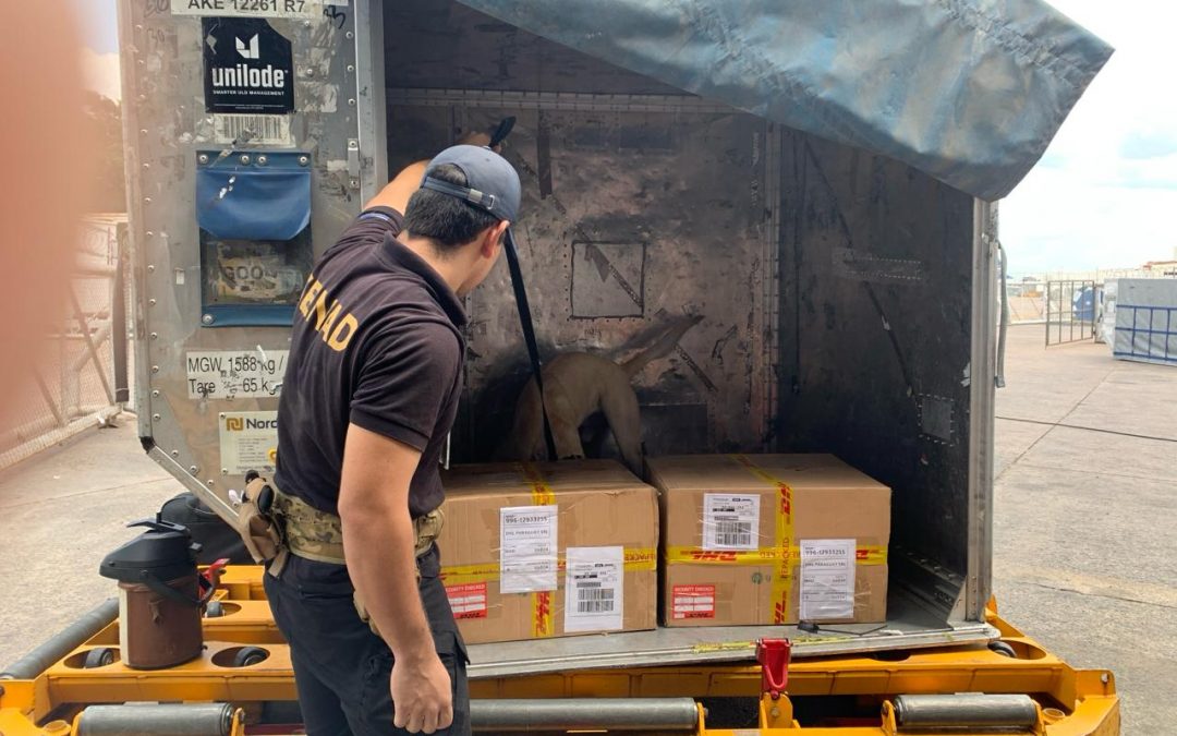 Agentes de la Senad detectan intento de envío de cocaína desde Paraguay a Madrid