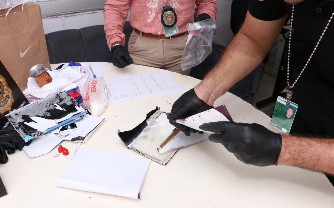 SENAD frustra “narco-encomienda” con destino a Tailandia: Descubren cocaína oculta en libro