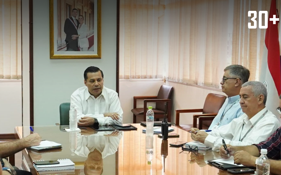 Ande denuncia incendios provocados que afectan la distribución eléctrica en Villa Hayes