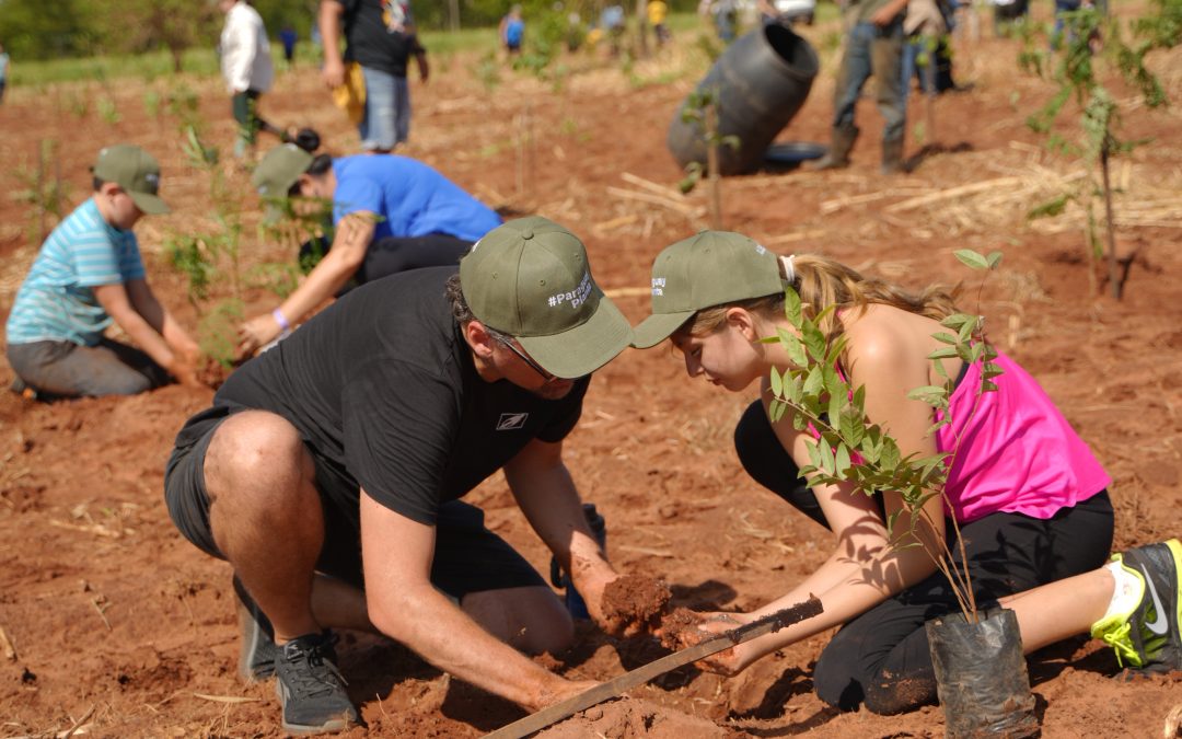 Octava edición de Paraguay Planta suma 3.700 árboles nativos