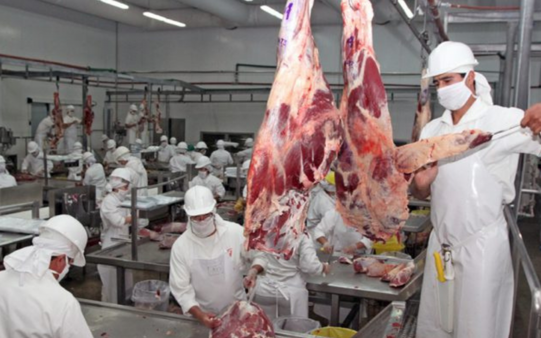 Exportación de carne a EE.UU.: Gremios de la carne paraguaya celebran apoyo