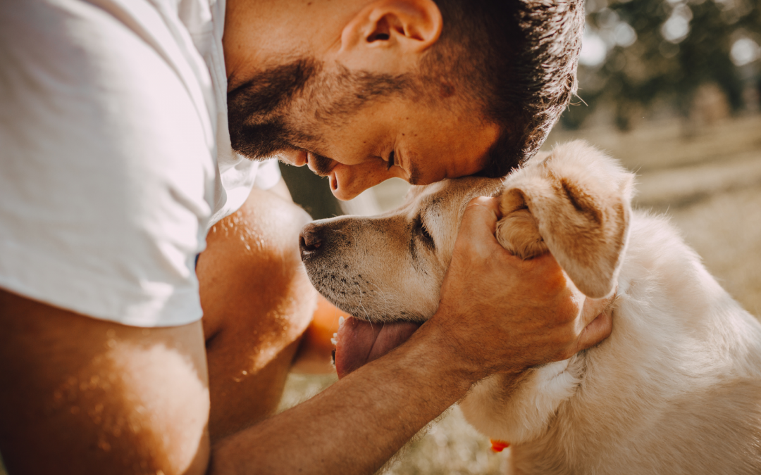 Estudio revela los perros demuestran entender el significado de las palabras