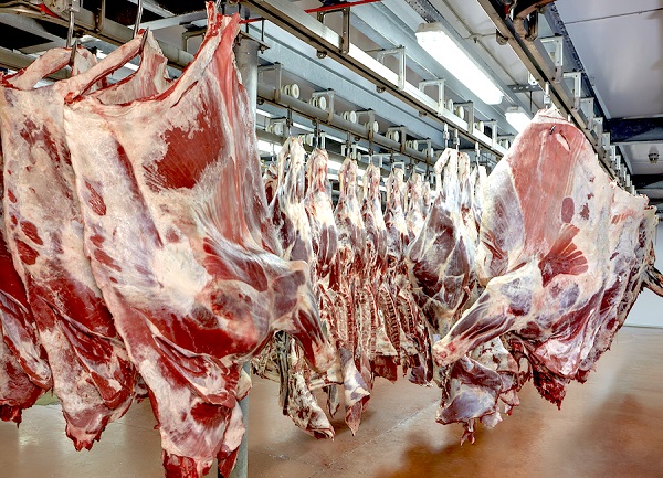 Exportaciones de carne porcina nacional experimentan crecimiento en mercado de Taiwán