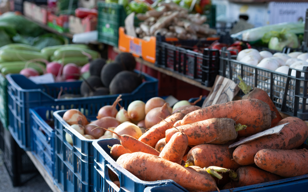 Destacan potencial de Paraguay para aumentar su productividad agrícola