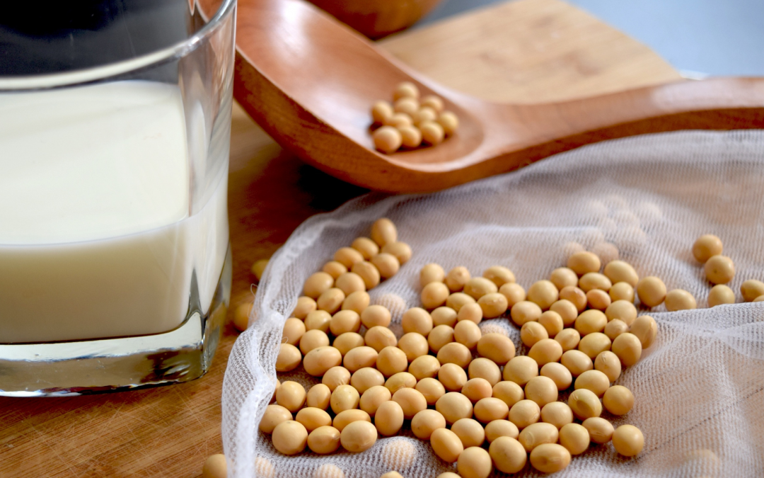 Primera aceitera de soja en el Chaco fue inaugurada y dará empleo a unas 100 personas