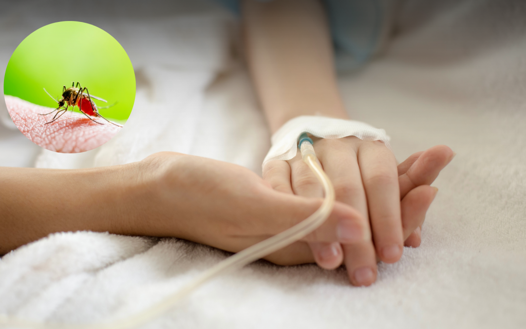 Niña de 13 años murió a causa de dengue grave en Concepción