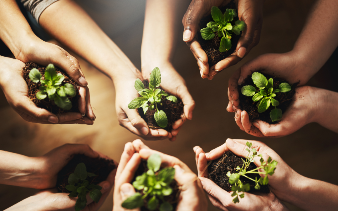 UIP busca promover la producción sostenible mediante el programa ‘Al- Invest Verde’