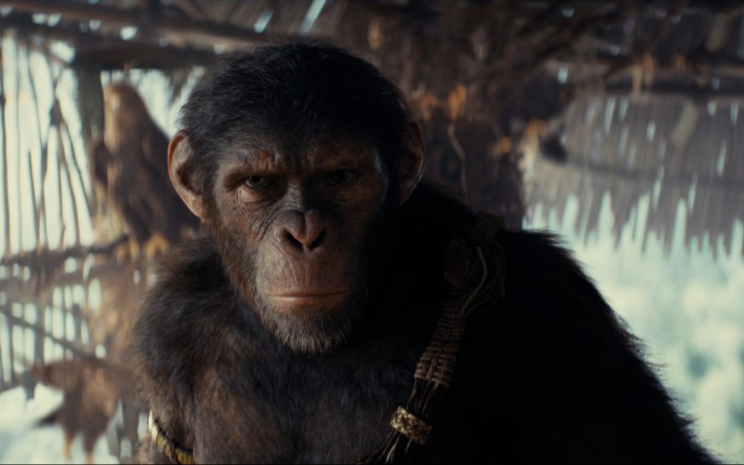 Mañana es el estreno de “El Planeta De Los Simios: Nuevo Reino” tras sorprendente Avant Premiere