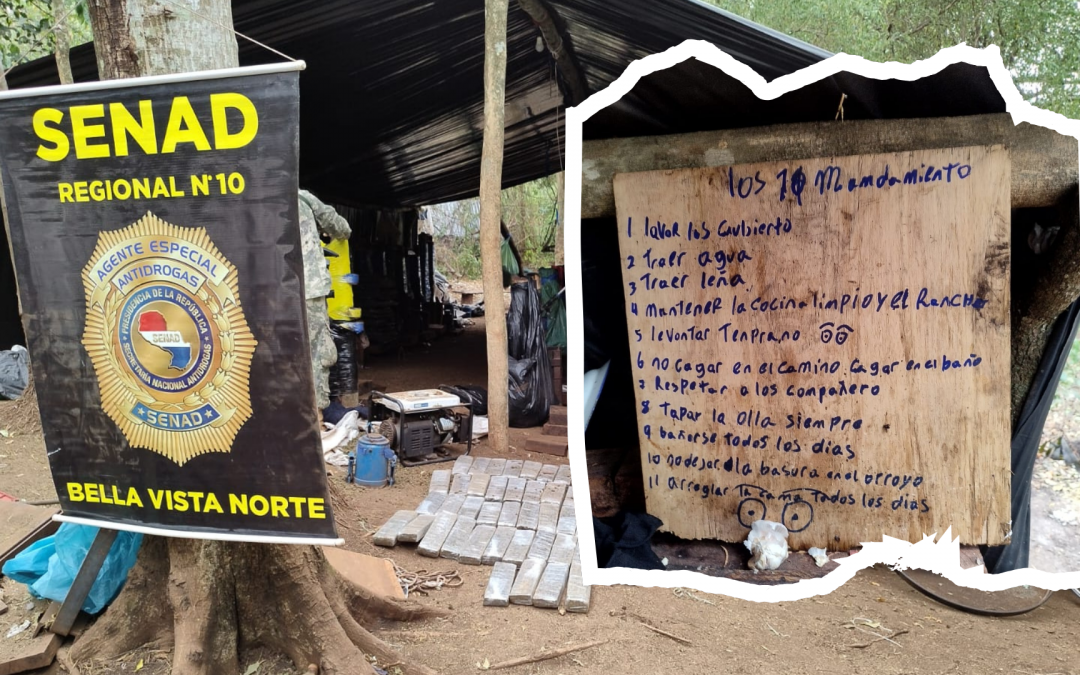 “11 Narco-Mandamientos”: Senad desmanteló peculiar campamento de marihuana