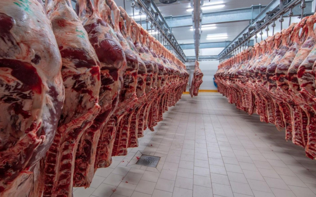 Paraguay se abre camino al mercado estadounidense para su carne bovina