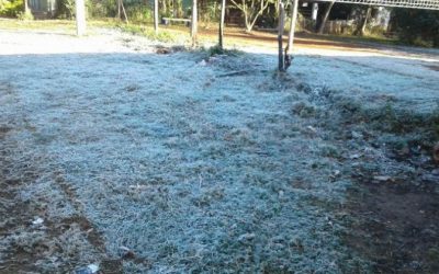 Un hombre muere en la vía pública a causa de una hipotermia