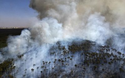 Récord de incendios forestales en Sudamérica