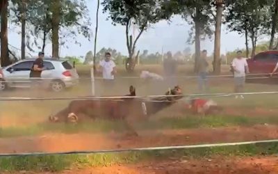 Viceministro de la Niñez sobre carreras de caballos: “totalmente prohibido que niños y adolescentes participen”