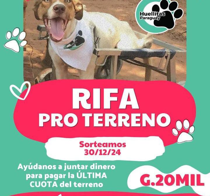 Refugio “Huellitas Paraguay”  realiza rifa pro terreno