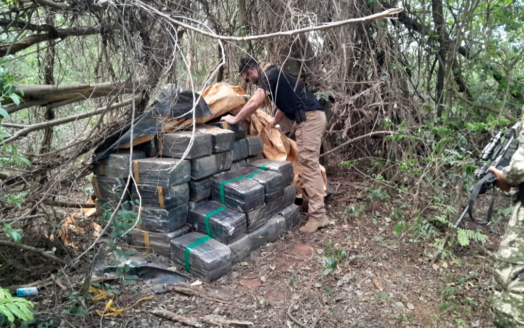  SENAD y FTC lograron incautar 1 tonelada de marihuana