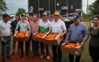Paraguay logró exportar más 1.100.000 kg de tomate a la Argentina